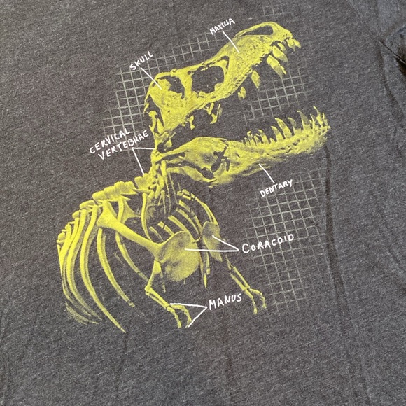 Cat & Jack Heather Ash Gray T-Rex Dinosaur Bone Name Fossil T-Shirt - Picture 2 of 4